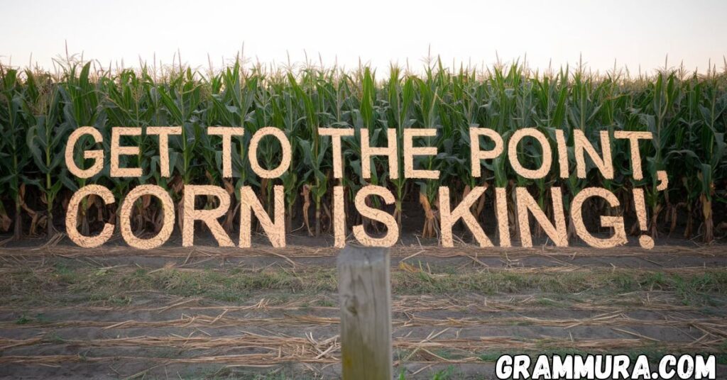 Corn Puns 