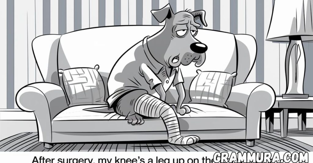  Funny Knee Puns (After Surgery