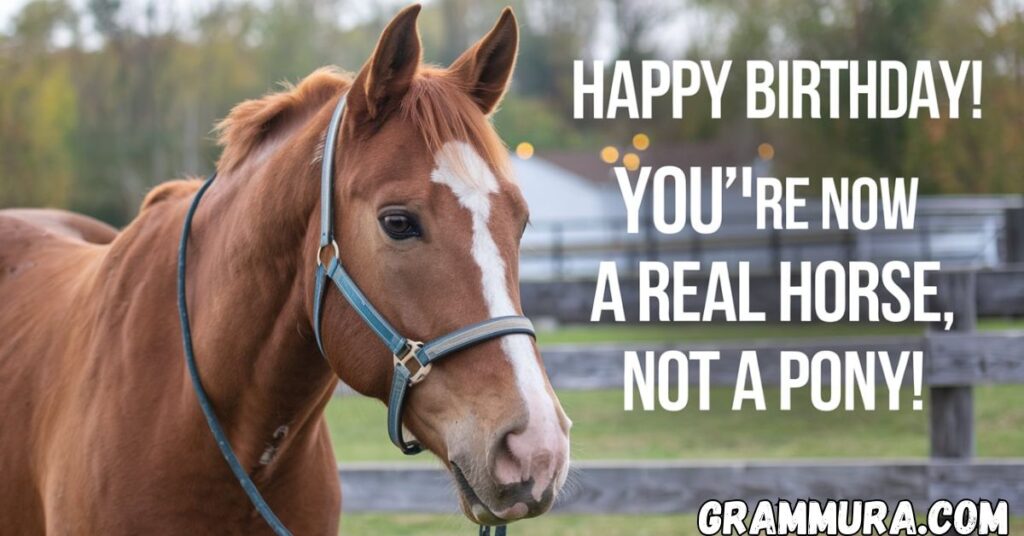 Horse Puns (Names, One Liners, Birthday