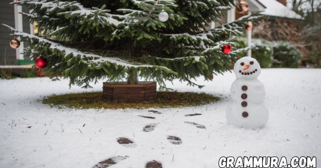 Snow Puns (One Liners, Christmas
