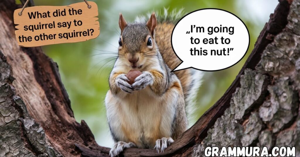 Squirrel Puns