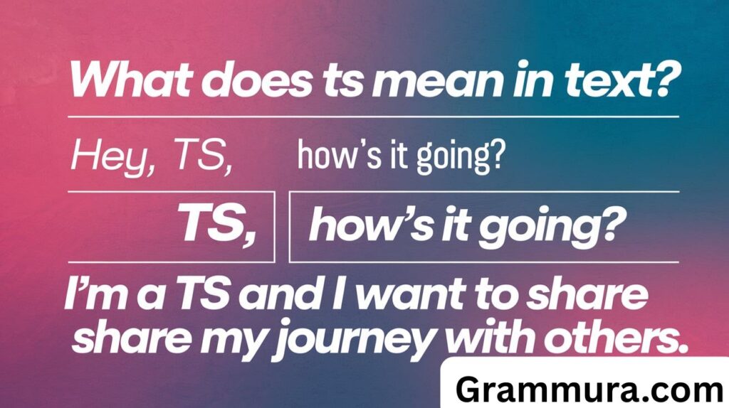 What Does TS Mean in Text