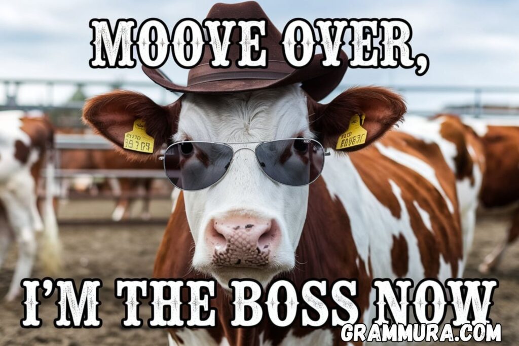 Cow Puns (Cute, Funny, Names