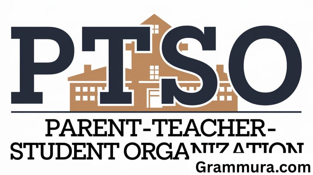 PTSO Meaning in Text