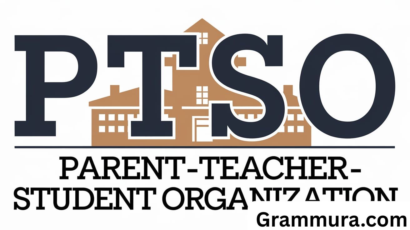 PTSO Meaning in Text