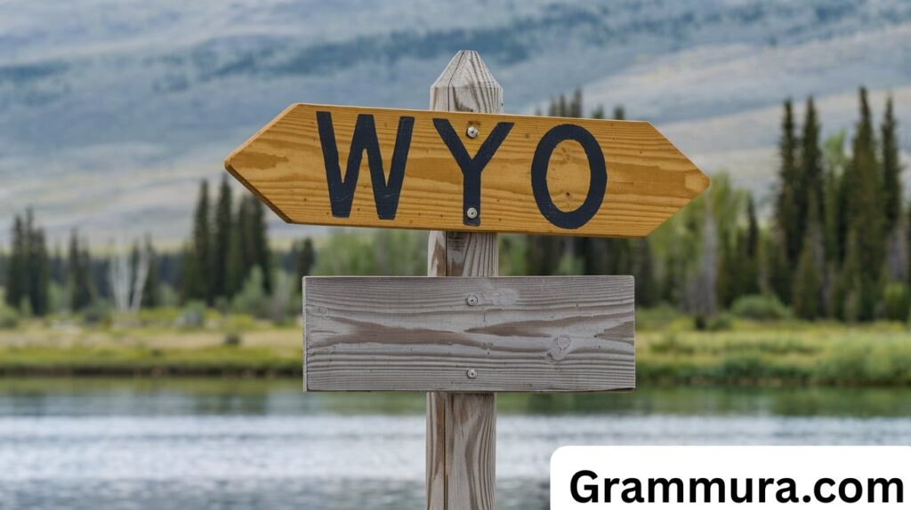 WYO Meaning in Text