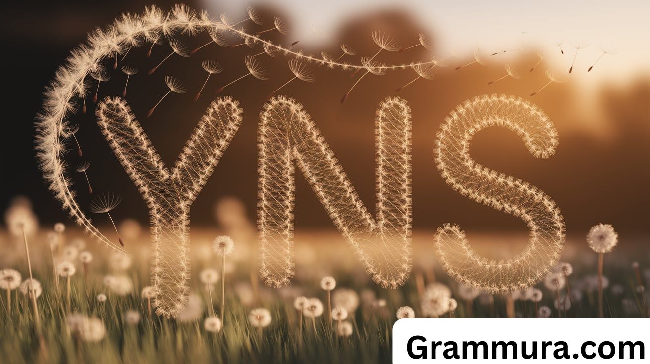 YNS Meaning in Text,