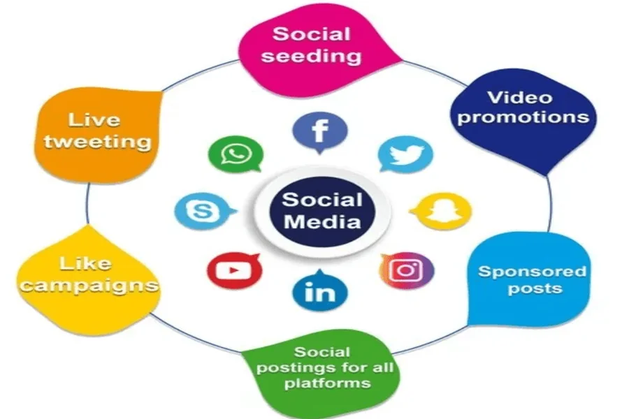 Social Media Promotion Services