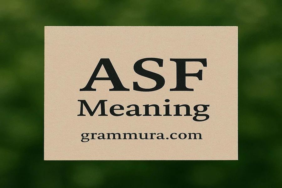 ASF Meaning