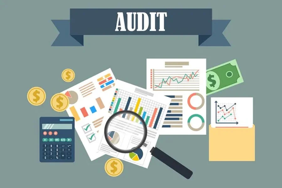 CONSASS Audits