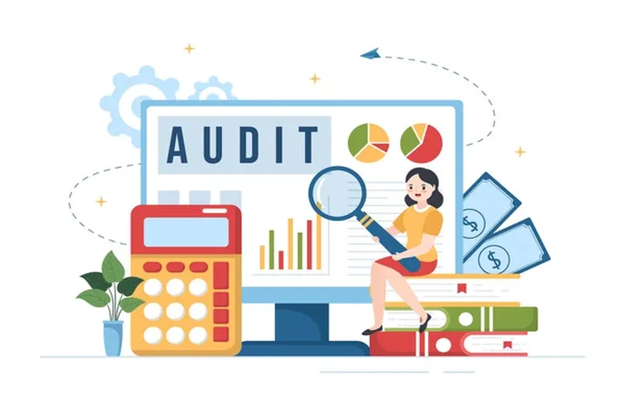 CONSASS Audits